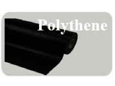 product_polythene 400x300-01
